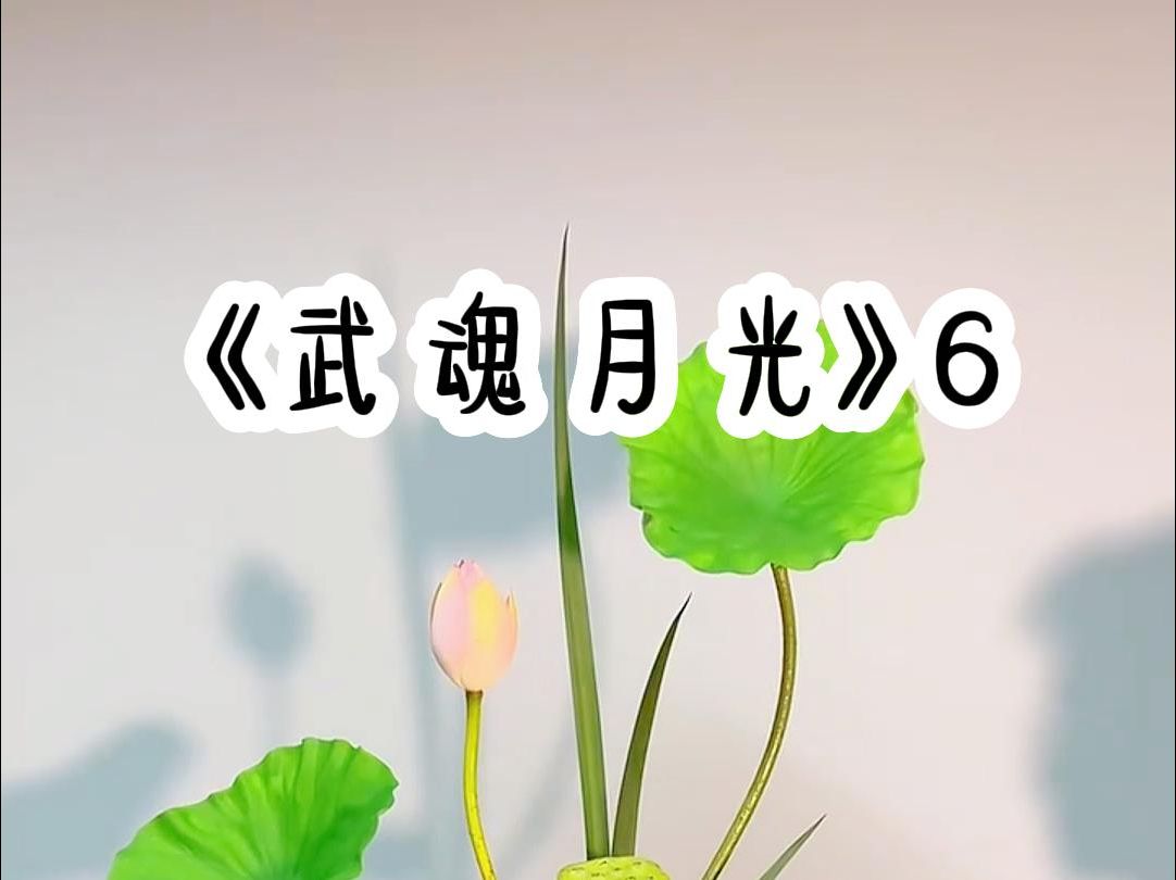 洺(武魂月光)6小说推荐哔哩哔哩bilibili