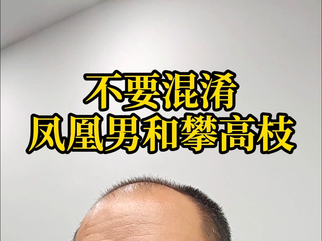 不要混淆凤凰男和攀高枝.哔哩哔哩bilibili