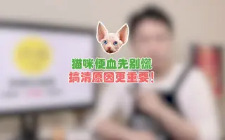 猫血便_ 搜索结果_哔哩哔哩_Bilibili