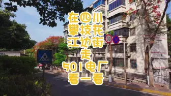 Download Video: 在四川攀枝花江边街走501电厂看一看