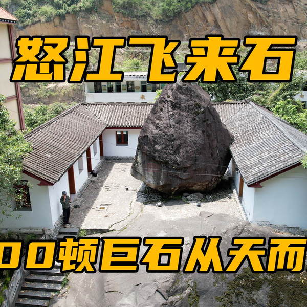 中国　雲南碁石　未使用 中国 雲南碁石 未使用 5亿年前古生物化石，现身云南一工地-新华网