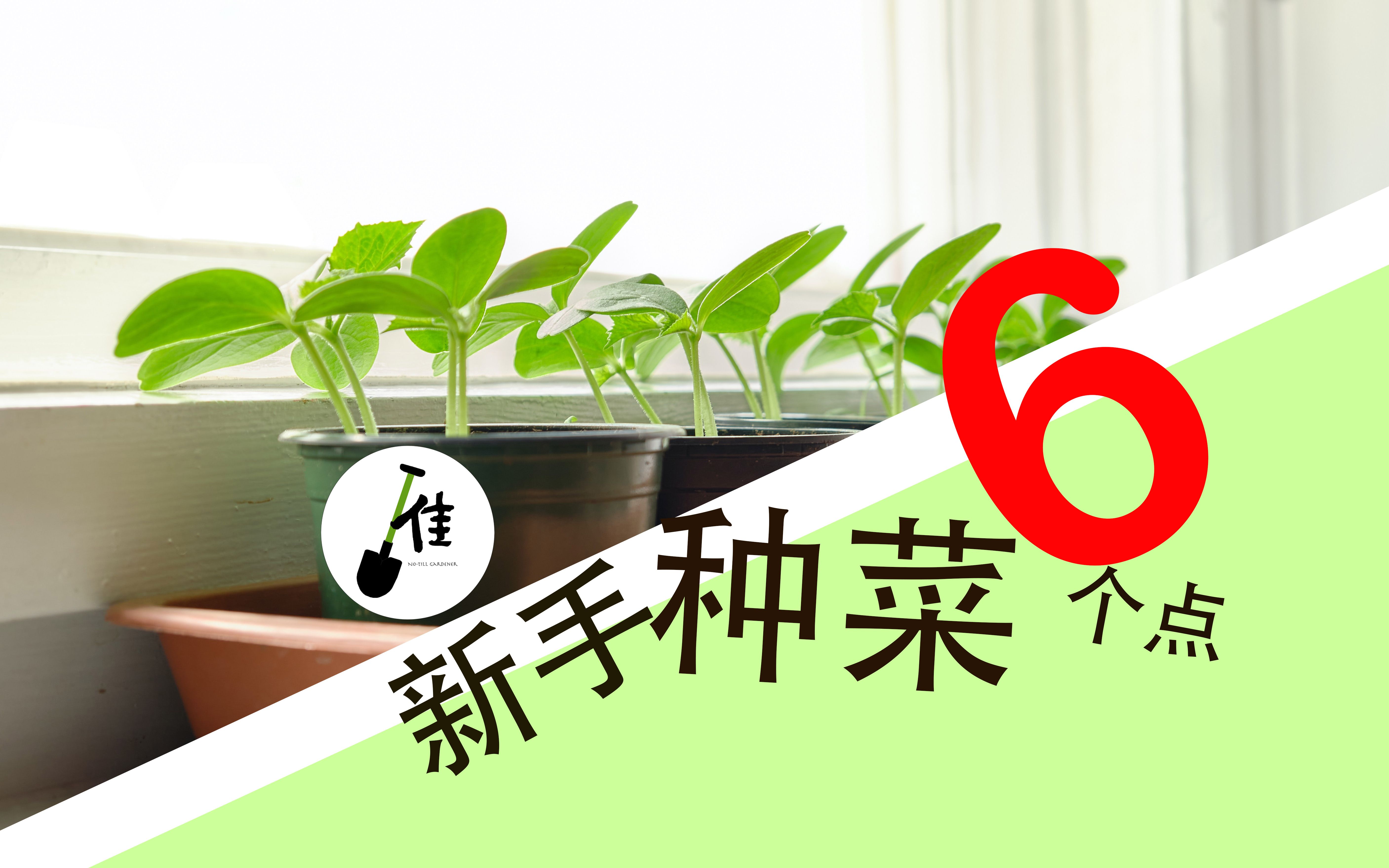 新手种菜,6要素,缺一不可! 你有吗?哔哩哔哩bilibili