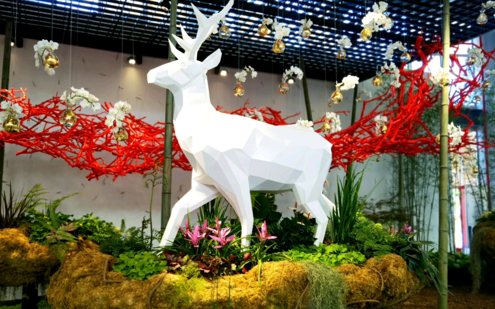 记录生活@古早照片整理24(上海花博会2021年6月)