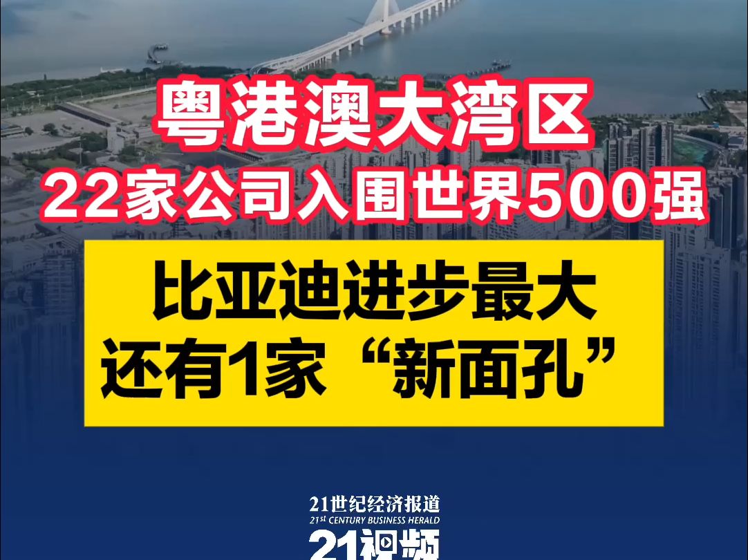 粤港澳大湾区22家公司入围世界500强,比亚迪进步最大,还有1家“新面孔”哔哩哔哩bilibili