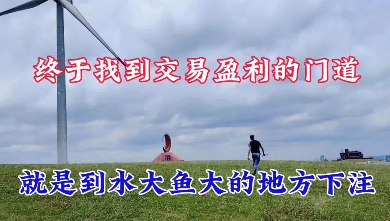 终于找到交易盈利的门道,就是到水大鱼大的地方下注哔哩哔哩bilibili