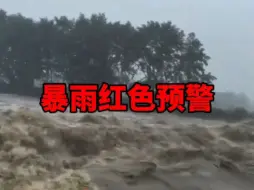 Download Video: 国家级暴雨红色预警！浙江，江西，湖北，湖南，安徽多地严重洪涝灾害【6.24日】