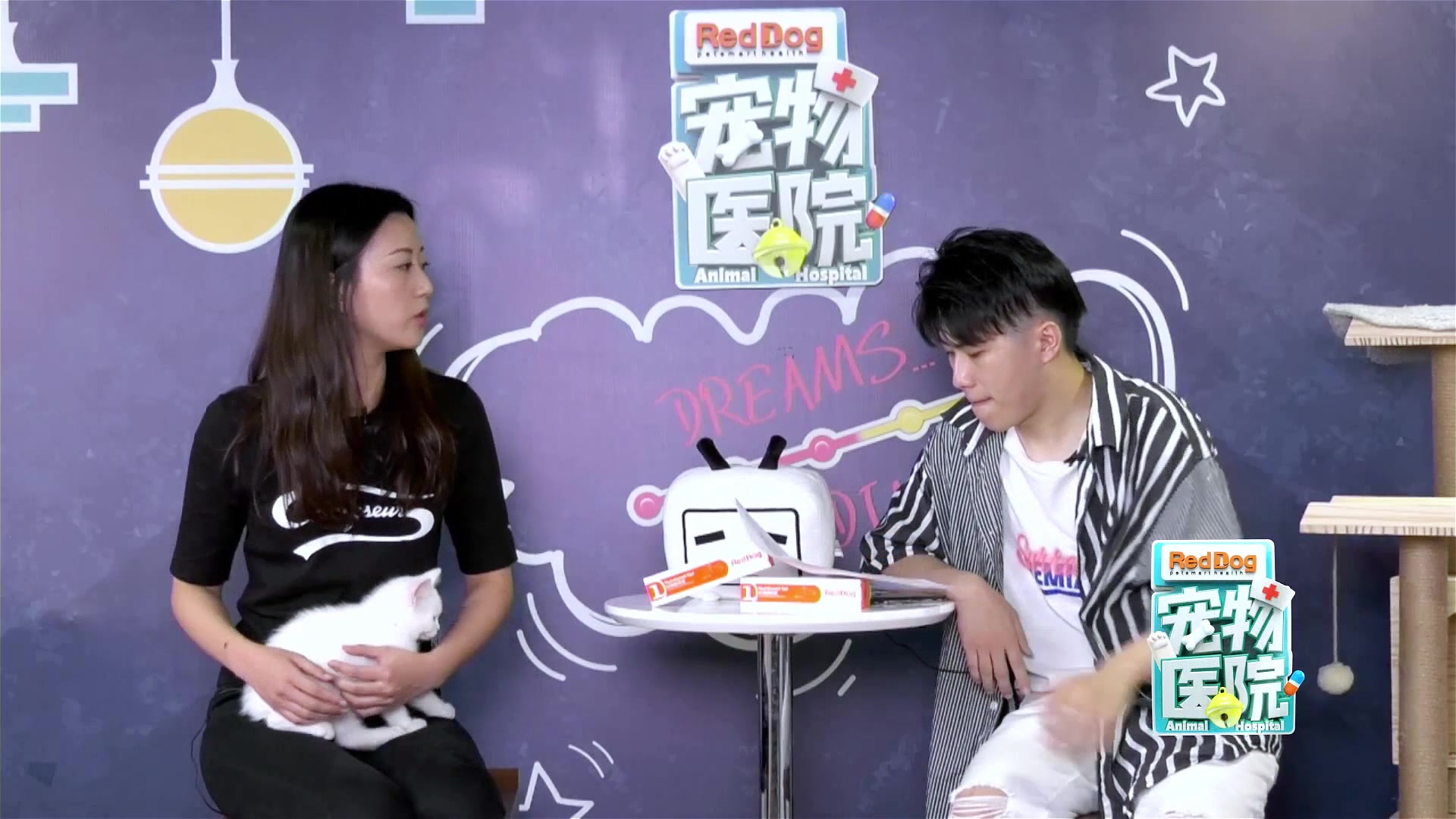 宠物医院直播问诊第5集