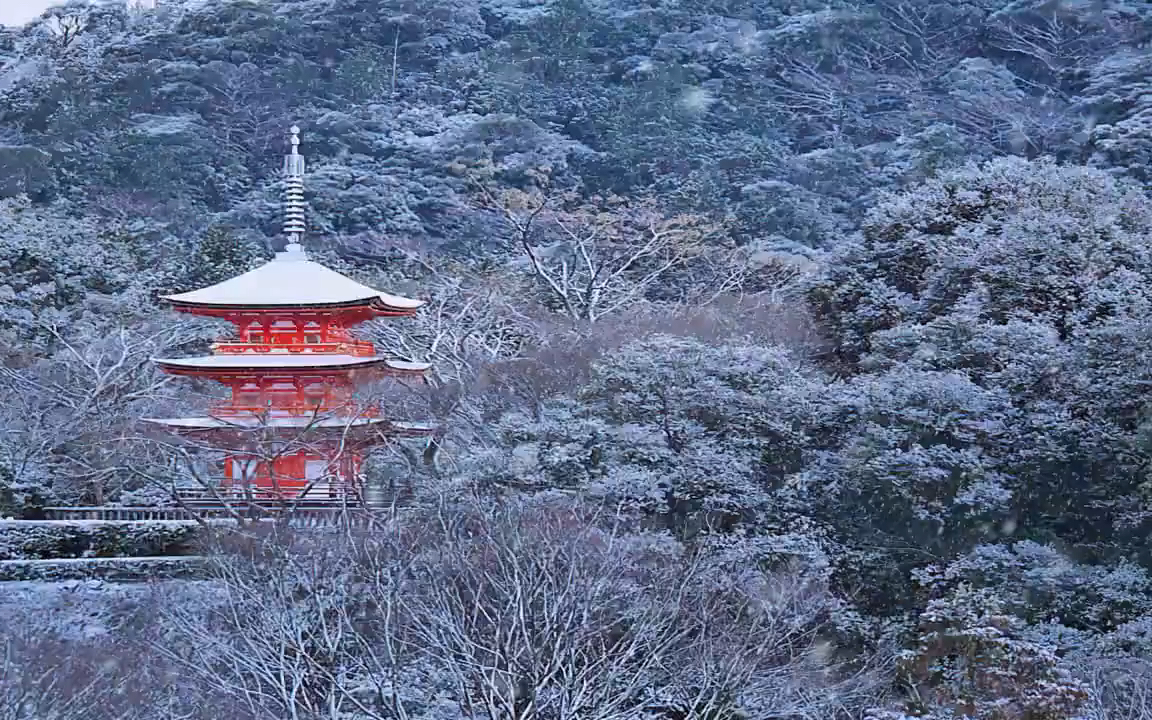 [图]4句终生受用哲学名言(大卫 • 休谟)