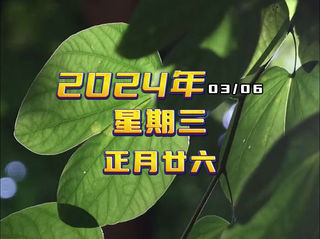 今天是2024年03月06日,星期三,正月廿六,早上好!哔哩哔哩bilibili