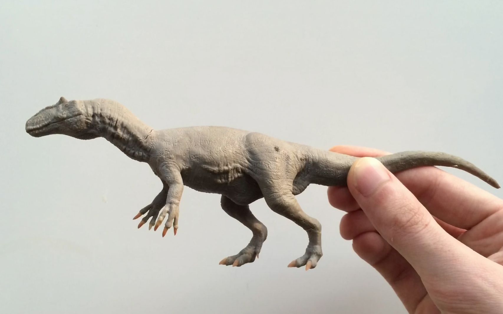 allosaurus | 制作异特龙模型(1/40)