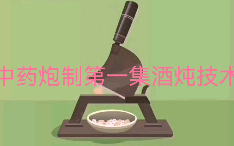 中药炮制第一集哔哩哔哩bilibili