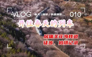 Descargar video: 「开往春天的列车」居庸关花海列车栈道拍摄全记录 || 春天 | 徒步 | 铁道摄影【Vlog010】