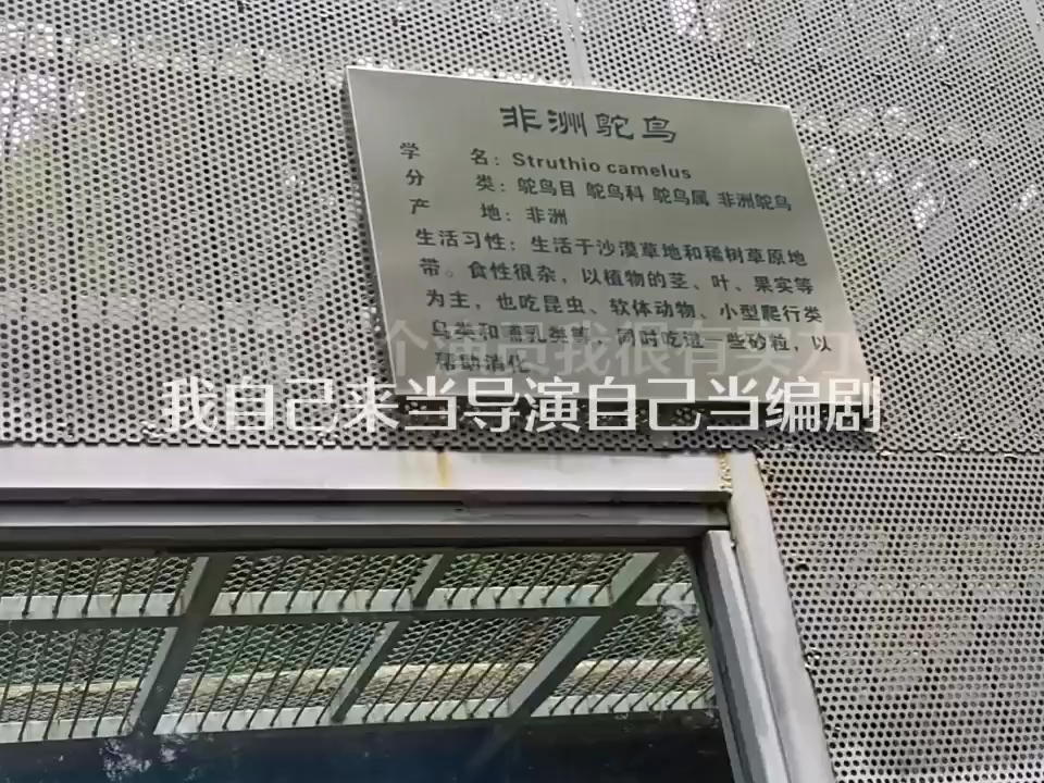 [图]通化市动物园拿大鹅冒充鸵鸟，糊弄鬼呢！