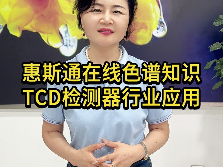 惠斯通在线色谱知识TCD检测器行业应用哔哩哔哩bilibili