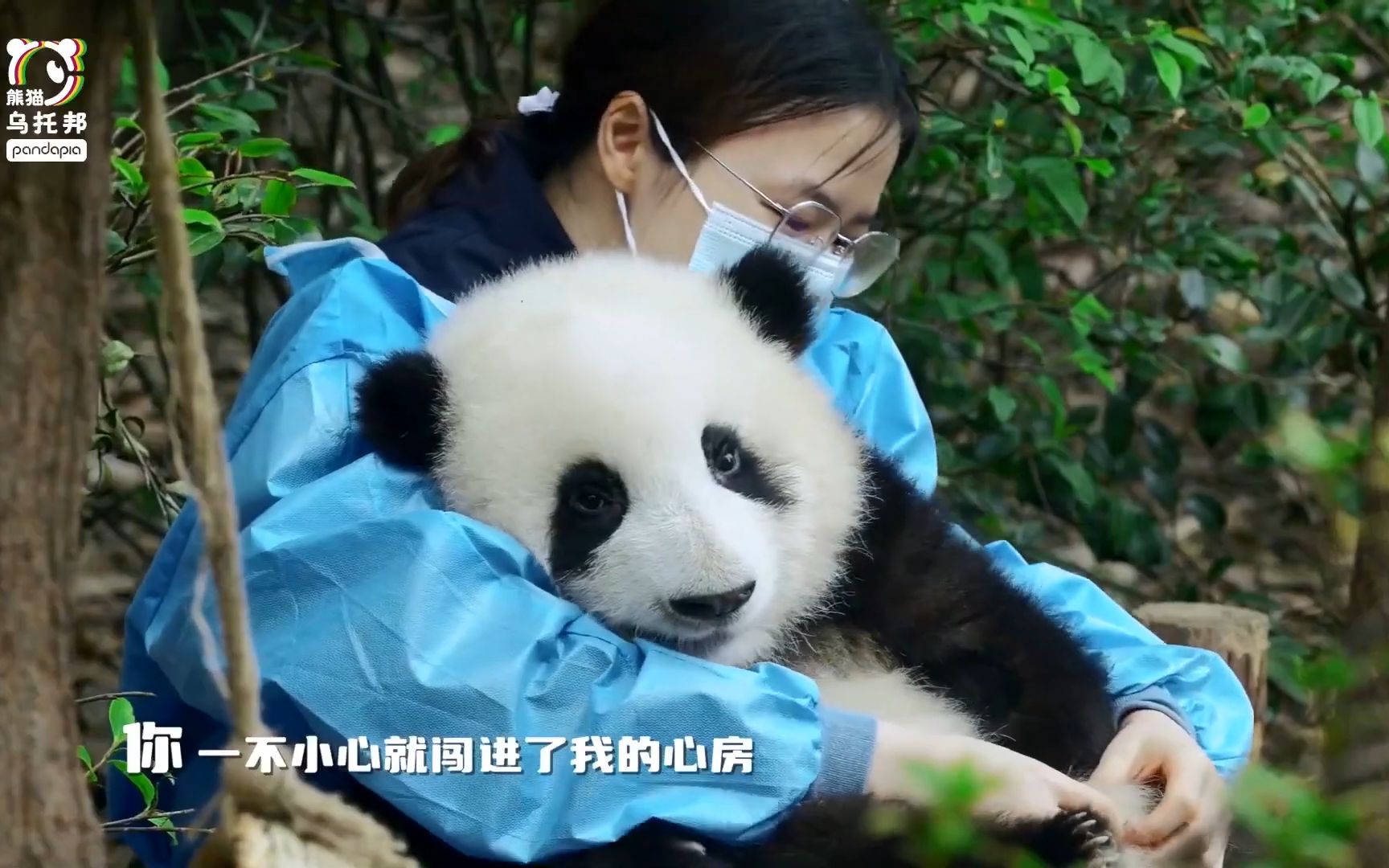 [图]花花生日快乐！两年内所有精彩瞬间合集