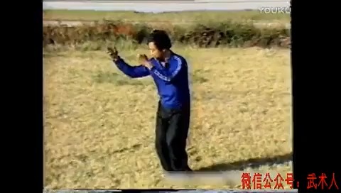 山西宋存旺先生演练的南少林五形拳四十二手哔哩哔哩bilibili