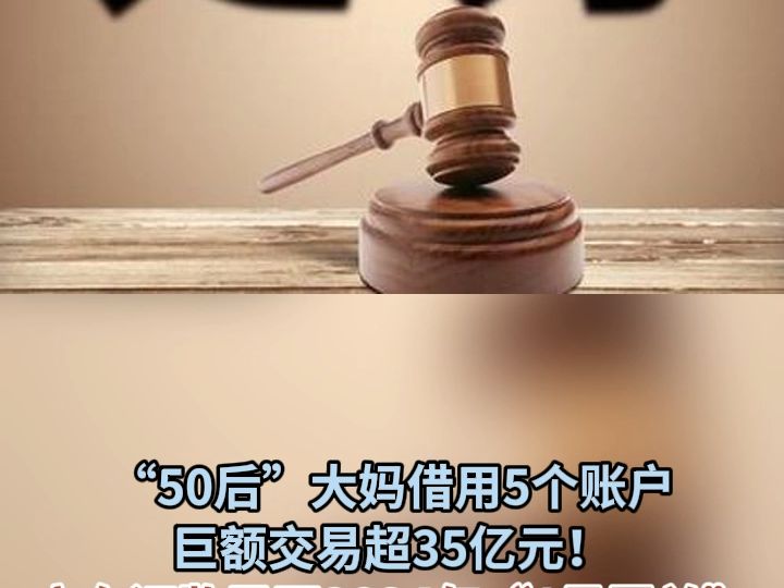 “50后”大妈借用5个账户巨额交易超35亿元!广东证监局开2024年“1号罚单”哔哩哔哩bilibili