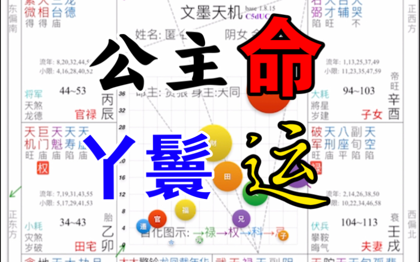 公主命,丫鬟运~哔哩哔哩bilibili