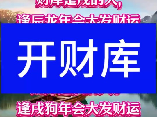 你的财库是什么?哔哩哔哩bilibili