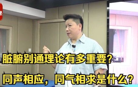 脏腑别通理论有多重要?同声相应,同气相求是什么?哔哩哔哩bilibili