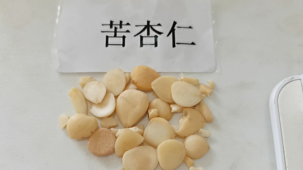 每天了解一味中药:苦杏仁(需在医生指导下使用)ps:无滤镜