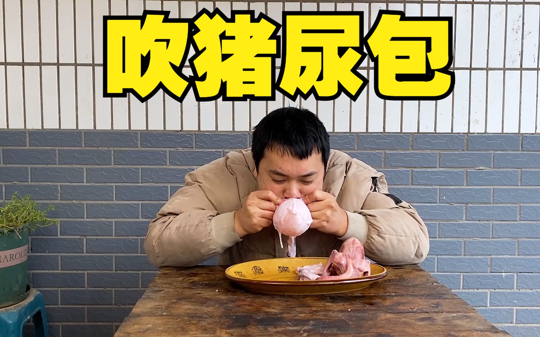 一个猪尿包装一只鸽子,卤上一小时做份肚包鸽,这种吃法值得推荐