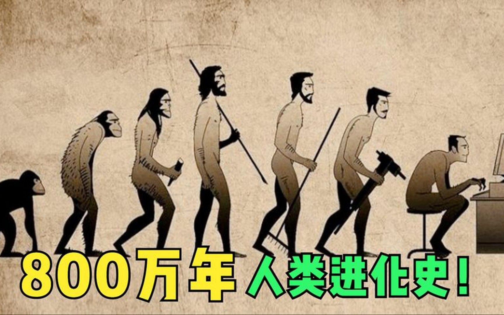 800万年人类进化史,1分钟带你了解人类起源