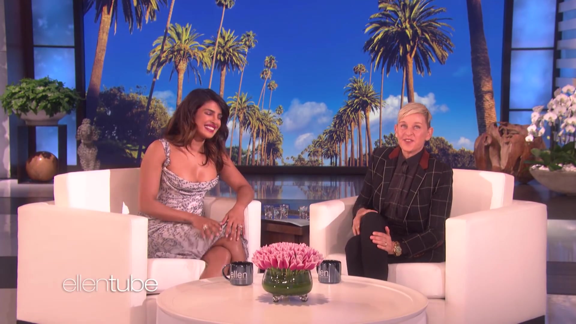 生肉/ellen艾伦秀Priyanka Chopra Jonas on Developing 'Wild Wild Country' as a Movie哔哩哔哩bilibili