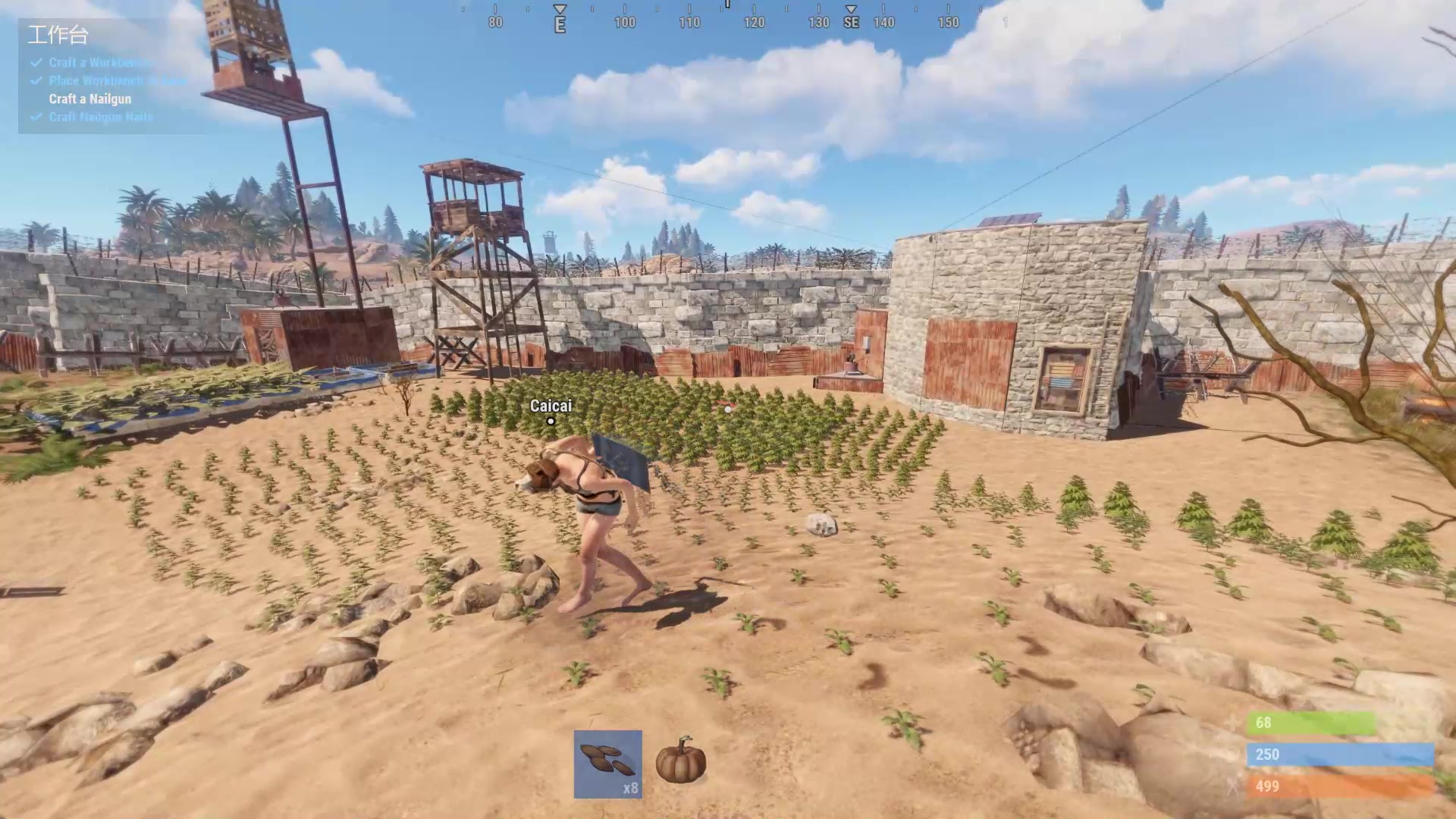 千笑rust腐蚀缘分生存篇第六季23除了在家里种亚麻我们还能去干点别的