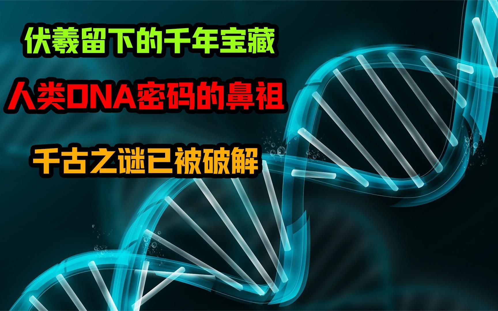 [图]伏羲留下的千年宝藏 ，人类DNA密码的鼻祖，千古之谜已被破解？