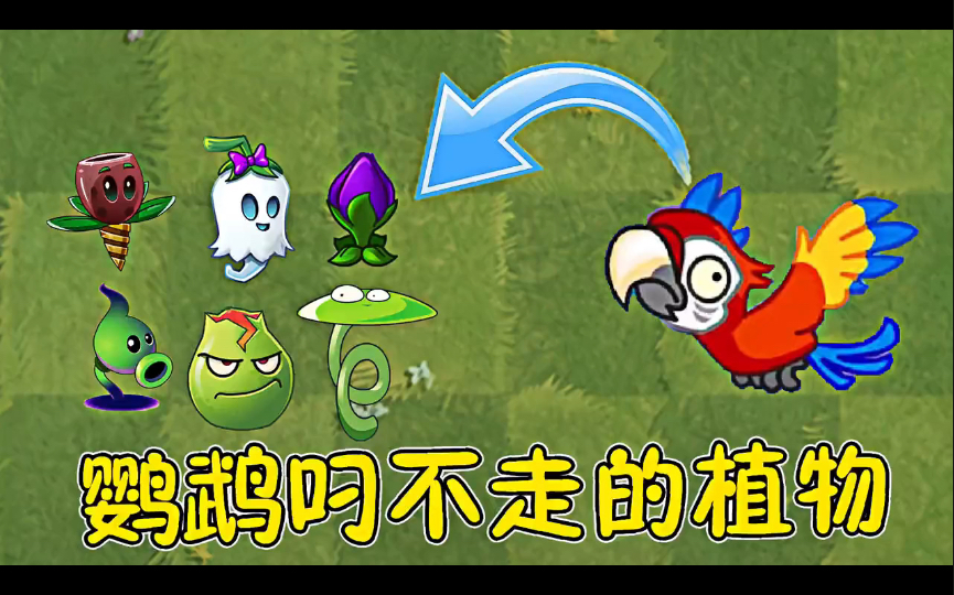植物大战僵尸2-僵尸鹦鹉叼不走的植物