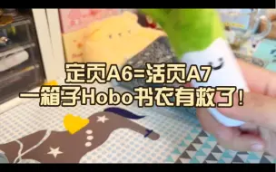 Скачать видео: 【手帐唠嗑】十块钱救救我那一箱子A6书衣吧！活页A7完美融入，可以了