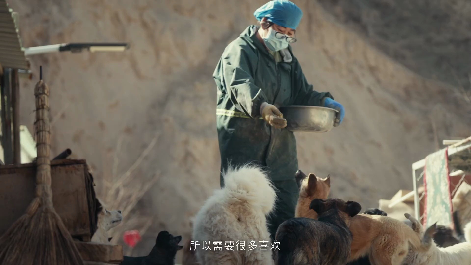 茉莉奶白宠物公益营销