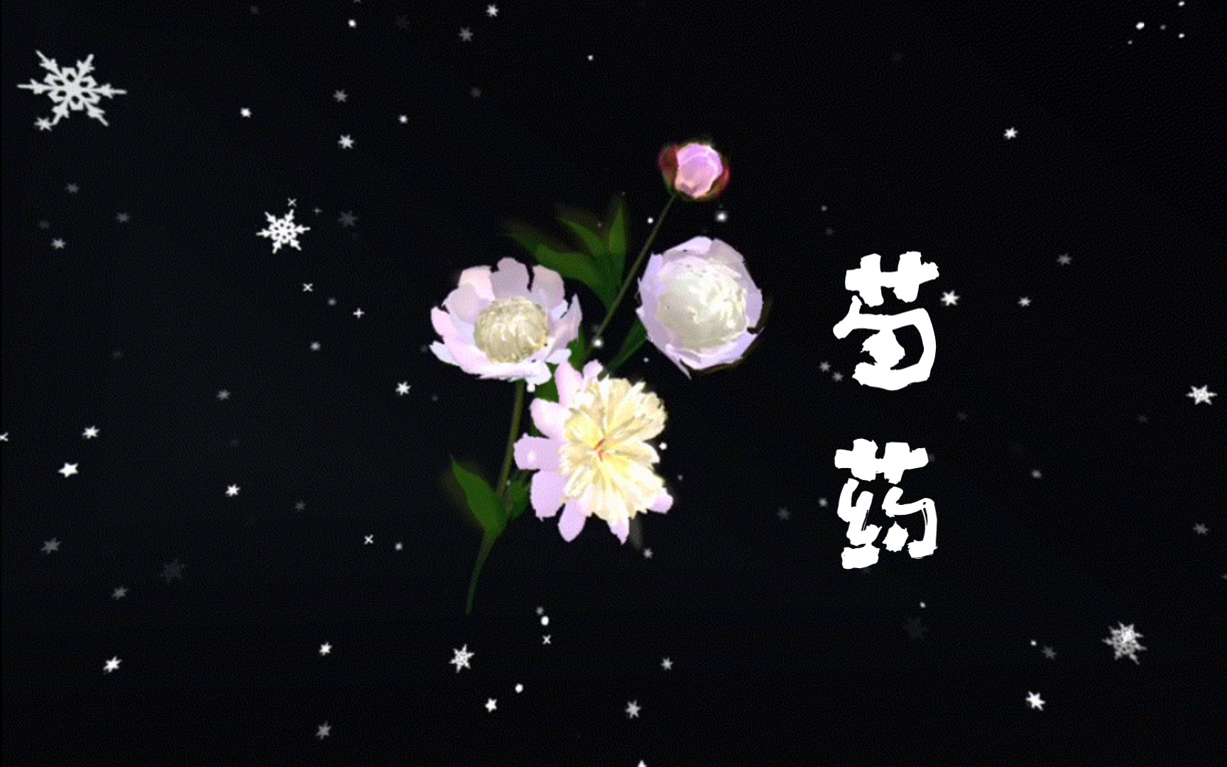 【VR绘画】写生芍药(绘画过程未删减)哔哩哔哩bilibili