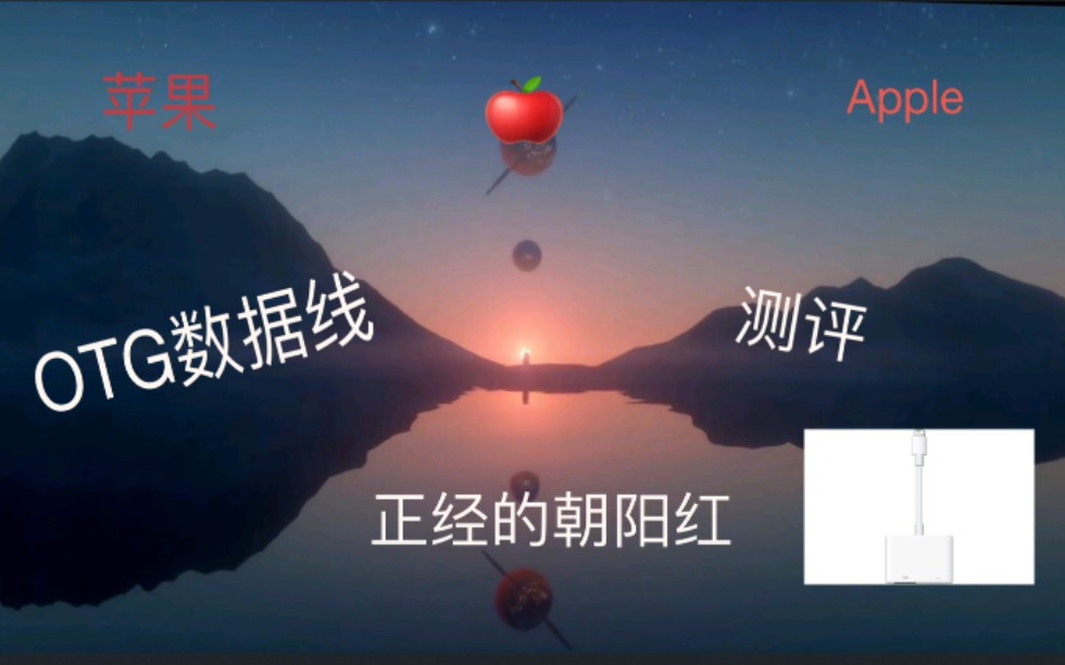 苹果OTG数据线测评(研学作业)哔哩哔哩bilibili