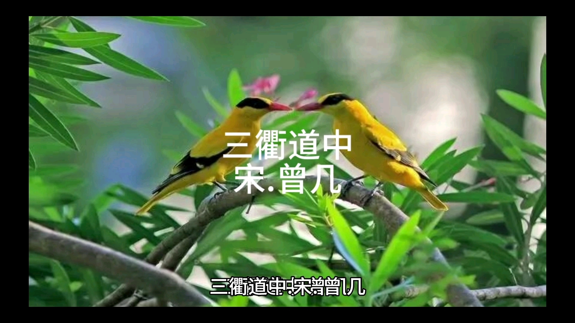 绿阴不减来时路,添得黄鹂四五声