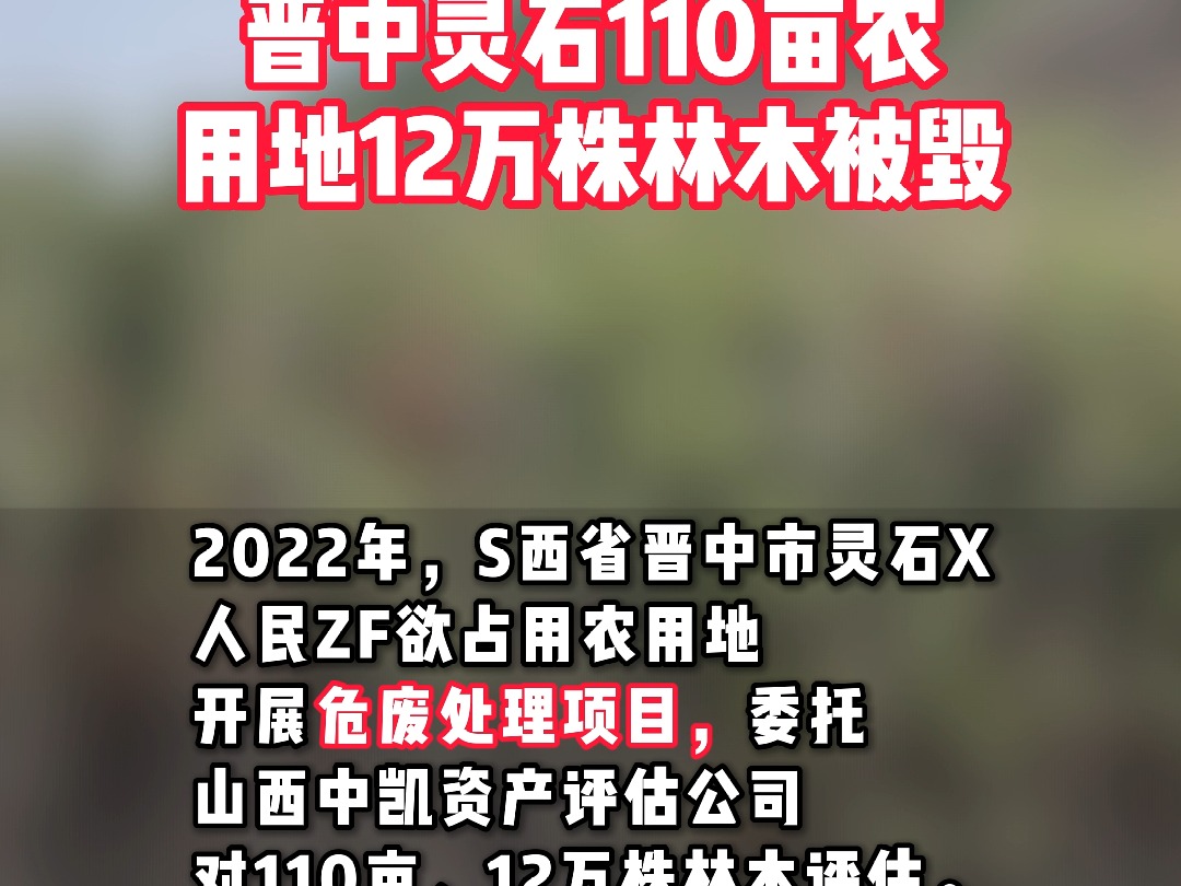 山西知名评估机构蒙冤 山西晋中灵石110亩农用地12万株被毁哔哩哔哩bilibili