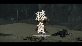 侍道4 全流派全招式一览 枪 二刀流 哔哩哔哩 つロ干杯 Bilibili