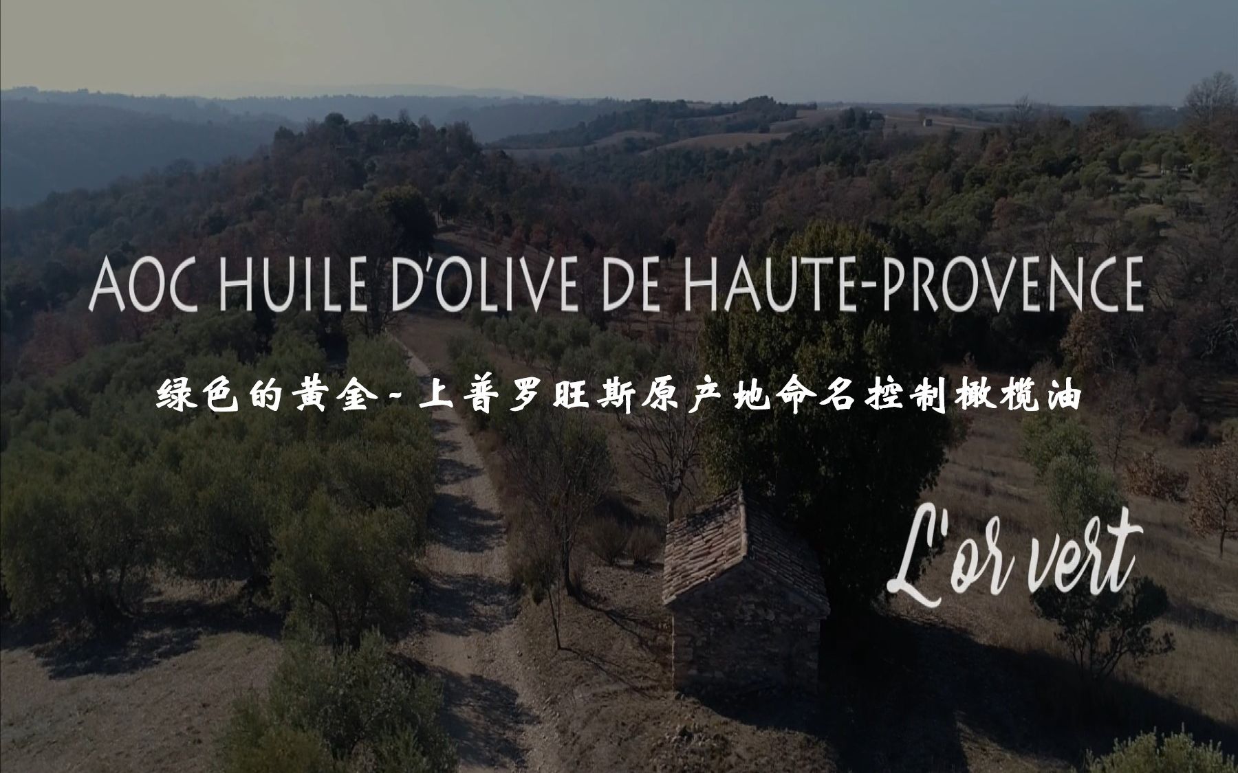 [图]强哥说普罗旺斯 | 上普罗旺斯原产地命名控制橄榄油AOC Huile d'Olive de Haut-Provence当地名厨和博物馆讲师带您了解液体黄金橄榄油