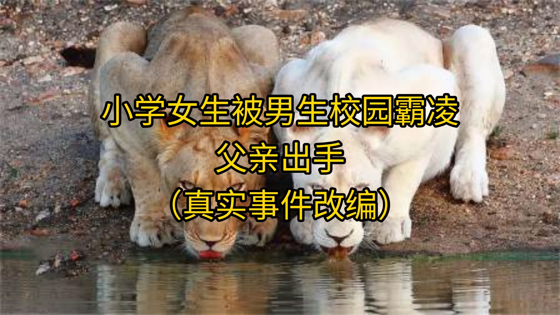 小学女生被男生校园霸凌,父亲出手(真实事件改编)