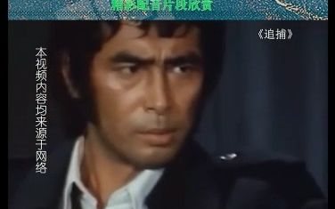 配音大师杨成纯哔哩哔哩bilibili