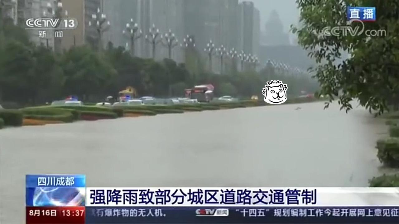 哈哈哈哈 成都暴雨被淹 男子在天府大道游泳上了央视直播哔哩哔哩bilibili