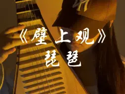 Télécharger la video: 好有宿命感的旋律！《壁上观》琵琶