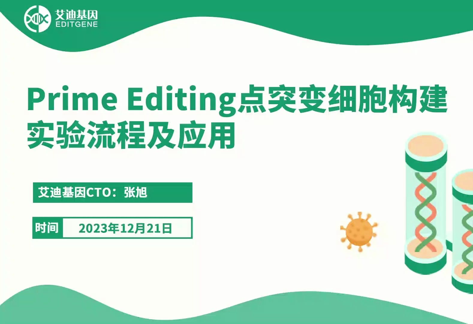 干货!Prime editing点突变细胞构建实验流程及应用哔哩哔哩bilibili