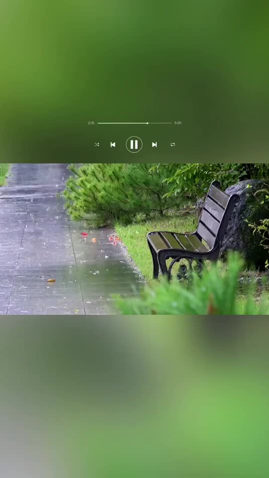 昨天今天下雨天人生往事如云烟彭家丽昨天今天下雨天我的金秋时刻