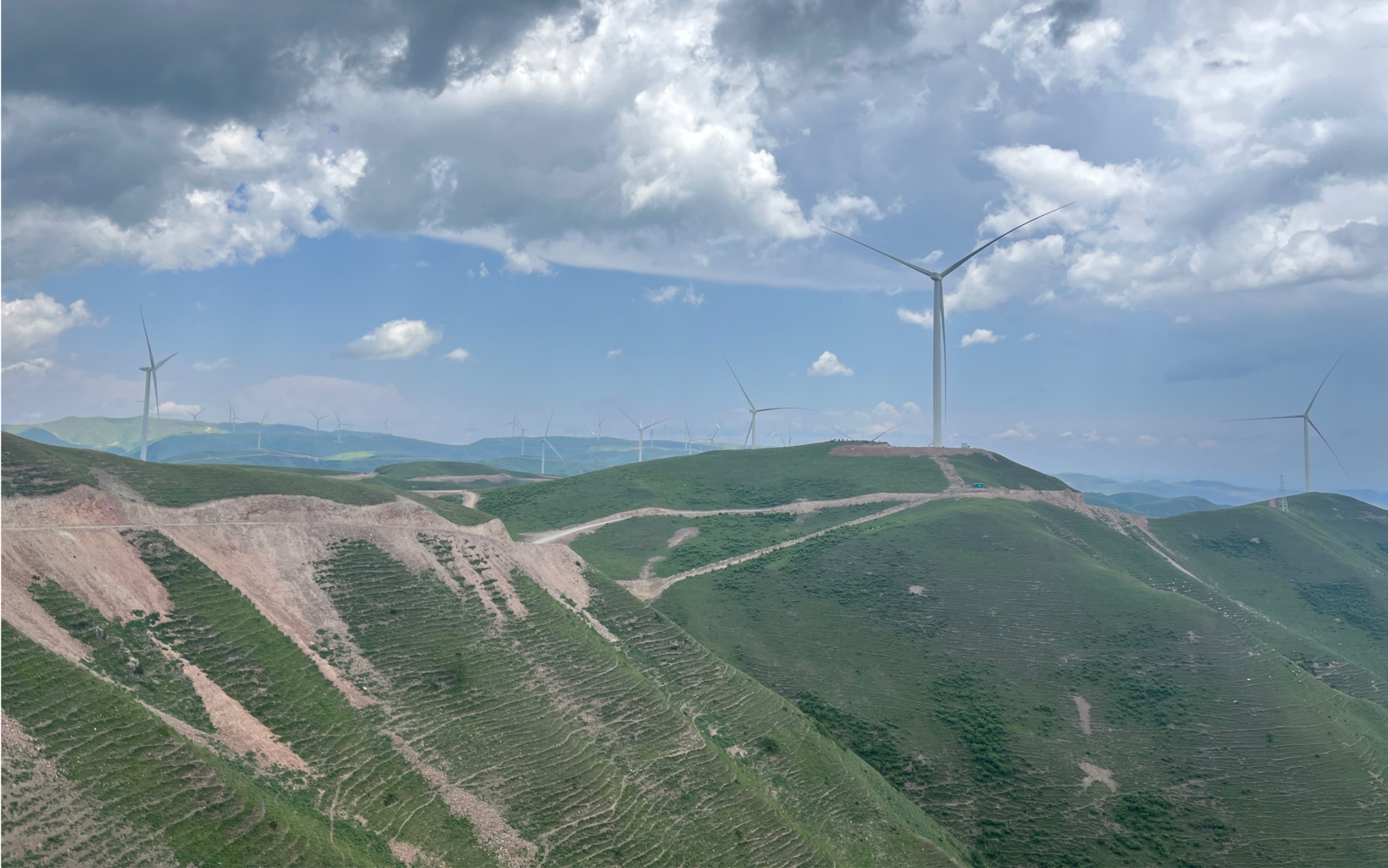 富川沙洲村大草原图片