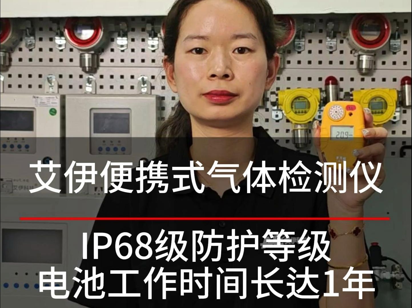 便携式气体检测仪