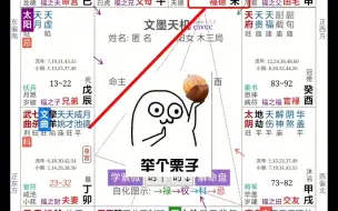 Download Video: 紫微斗数基础知识：命宫化忌与福德宫化忌，有何不同？