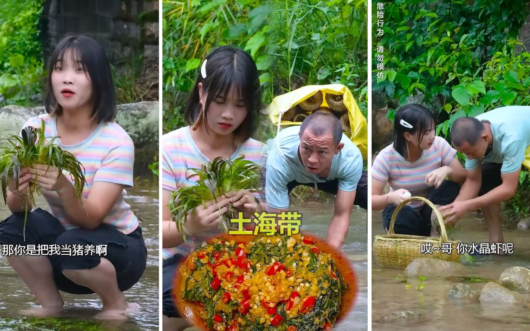 藏在河里的喂猪草也是一道美食,很多人叫它淡水海带,你们吃过吗?哔哩哔哩bilibili