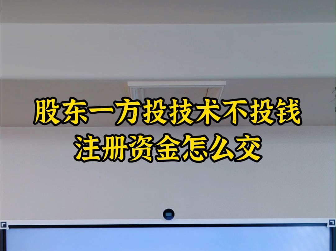 股东一方投技术注册资金该怎么交哔哩哔哩bilibili